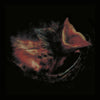 the album cover for Gurriers - Nobody's Coming To Save You [Black]