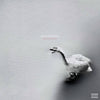 the album cover for Goosebytheway - Nature Boy [White]