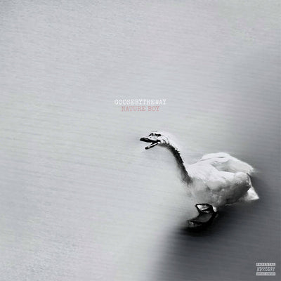 the album cover for Goosebytheway - Nature Boy [White]