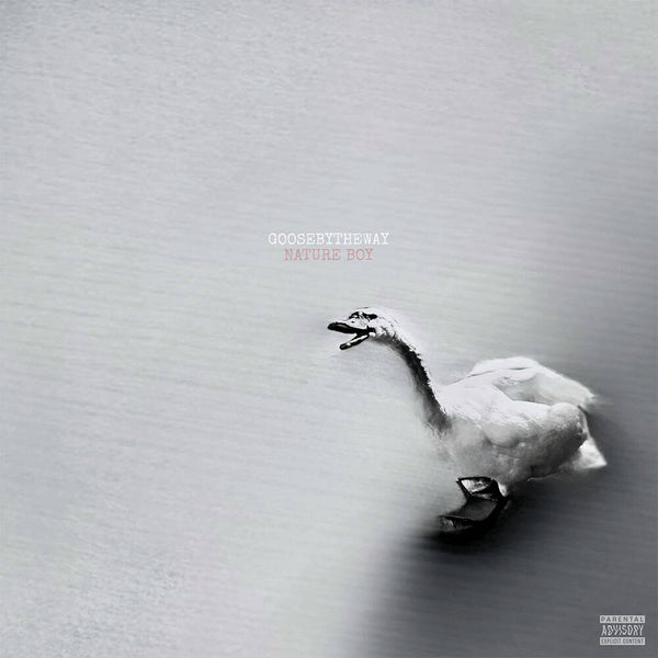 the album cover for Goosebytheway - Nature Boy [White]