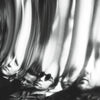 the album cover for Ty Segall - Chrome