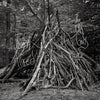 the album cover for Joseph Allred - Old Gods