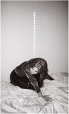 the album cover for Julia Holter - Materia