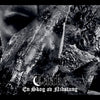 the album cover for Taake - En Skog Av Nidstang