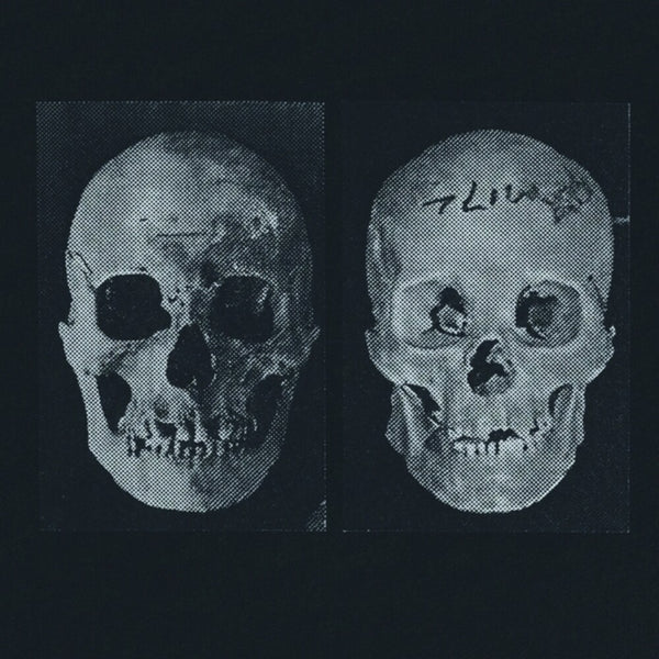 the album cover for Government Alpha - Human Race Was Restored To Life Repeatedly