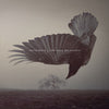 the album cover for Katatonia - Fall Of Hearts [Colored Vinyl] (Wht) (Aniv)