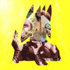 the album cover for Wassermann, Ute - chimeric