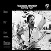 the album cover for Rudolph Johnson - Spring Rain - Remastered - Blue/Black Swirl (Blk)