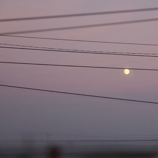 the album cover for Michael Dawson  Scott - Long Slow Distance