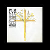 the album cover for WU LYF - Wave That Will Never Break