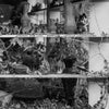 the album cover for Windy & Carl With Optigan Conservatory - Windy & Carl Meet Optigan Conservatory