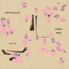 the album cover for Isik Kural - Motorcycles & Cherry Wind