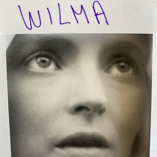 the album cover for Daniele Luppi - Wilma