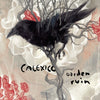 the album cover for Calexico - Garden Ruin