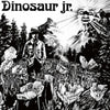 Dinosaur Jr. - Dinosaur Jr. (Vinyl LP) - Pale Blue Dot Records