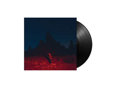 Phoebe Bridgers - Punisher