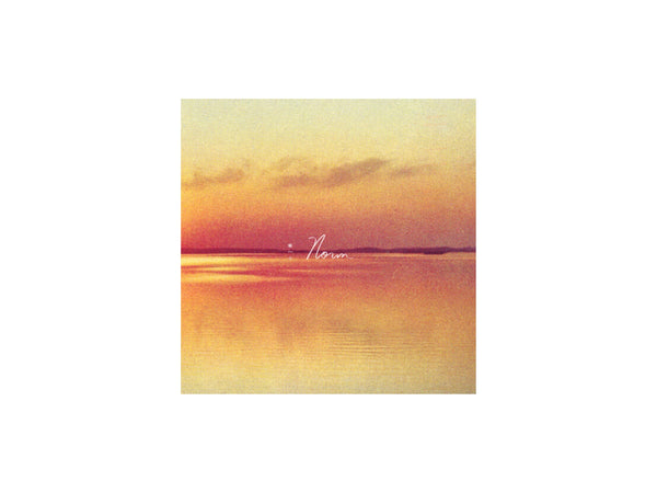 Andy Shauf - Norm (Indie Exclusive Eco Mix Colored Vinyl)