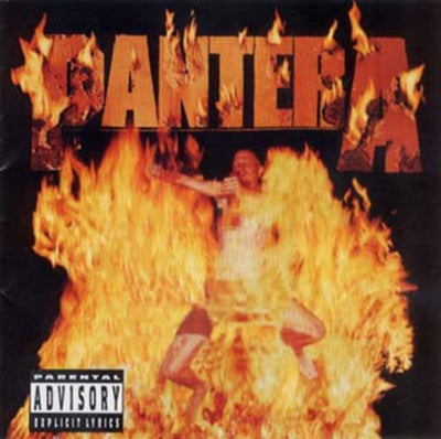 Pantera - Reinventing the Steel (Vinyl LP)