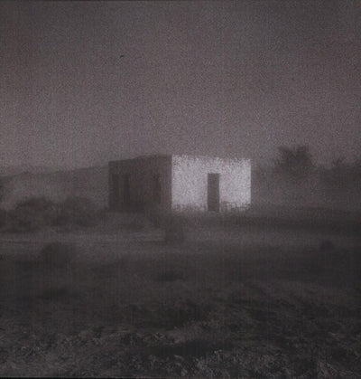 Godspeed You! Black Emperor - Allelujah! Don't Bend! Ascend! (Vinyl LP) - Pale Blue Dot Records
