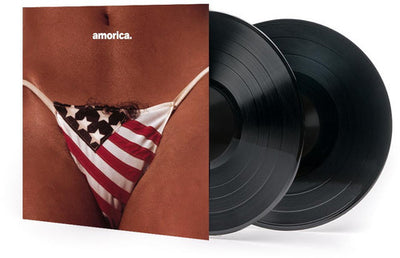 The Black Crowes - Amorica (Vinyl LP) - Pale Blue Dot Records