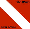 Van Halen - Diver Down (Vinyl LP) - Pale Blue Dot Records