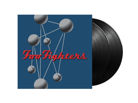 Foo Fighters - Colour and The Shape (Double Vinyl)