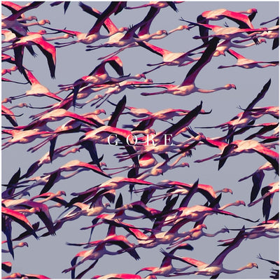 Deftones - Gore (Vinyl LP) - Pale Blue Dot Records