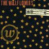 The Wallflowers - Bringing Down the Horse (Vinyl LP)