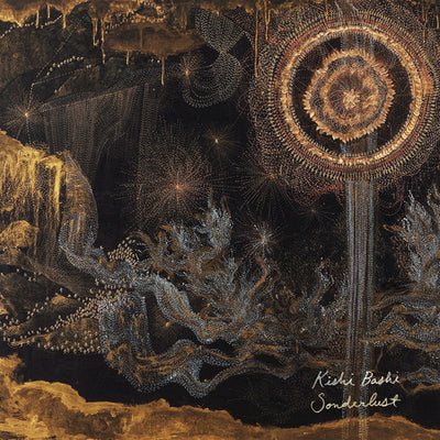 Kishi Bashi - Sonderlust (Vinyl LP)