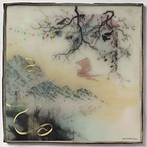 Novo Amor - Birthplace (Vinyl LP) - Pale Blue Dot Records