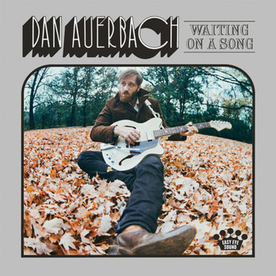 Dan Auerbach - Waiting on a Song (Vinyl LP) - Pale Blue Dot Records