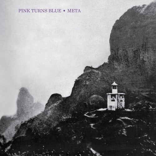 Pink Turns Blue - Meta (Indie Exclusive) (Indie Exclusive Vinyl) - Pale Blue Dot Records