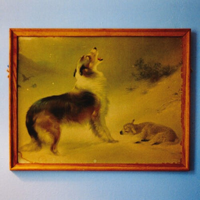 Explosions in the Sky - 'The Rescue (Anniversary Edition)’ (Vinyl LP) - Pale Blue Dot Records