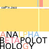 Cap'n Jazz - Analphabetapolothology (Vinyl LP)