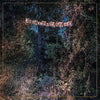 The Eyelids - Accidental Falls (Indie Exclusive Vinyl) - Pale Blue Dot Records