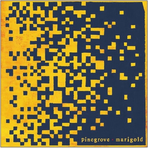 Pinegrove - Marigold (Indie Exclusive Vinyl) - Pale Blue Dot Records