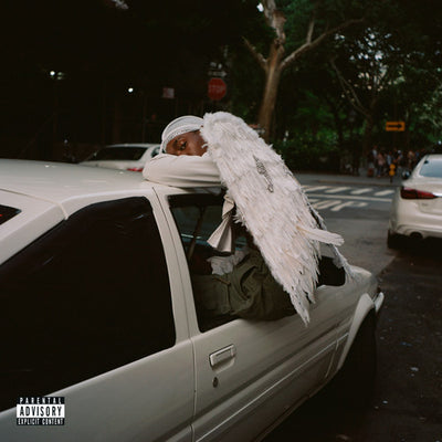 Blood Orange - Negro Swan (Vinyl LP) - Pale Blue Dot Records