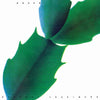 Hiroshi Yoshimura - / Vinyl (Indie Exclusive Vinyl) - Pale Blue Dot Records