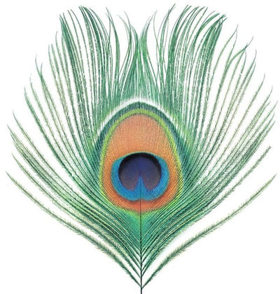 XTC - Apple Venus Vol 1 (Vinyl LP) - Pale Blue Dot Records