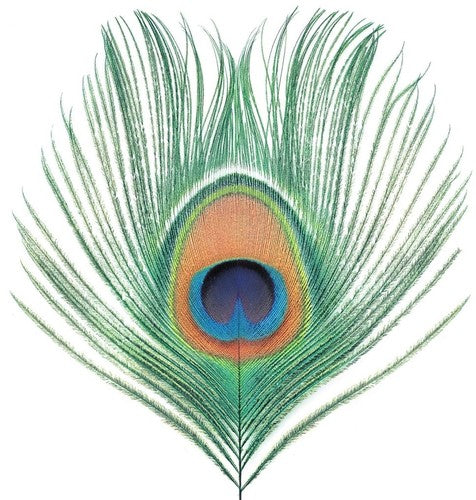 XTC - Apple Venus Vol 1 (Vinyl LP) - Pale Blue Dot Records