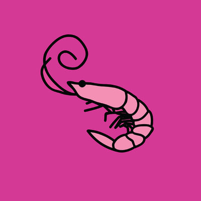 Kero Kero Bonito - Flamingo (Vinyl LP) - Pale Blue Dot Records