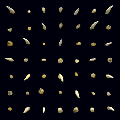 Clipping - Visions Of Bodies Being Burned (Vinyl LP)