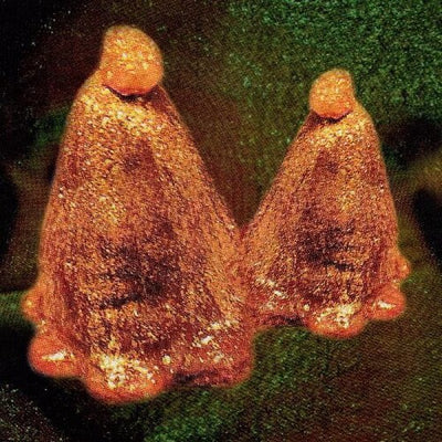 Black to Comm - Oocyte Oil & Stolen Androgens (Indie Exclusive Vinyl)