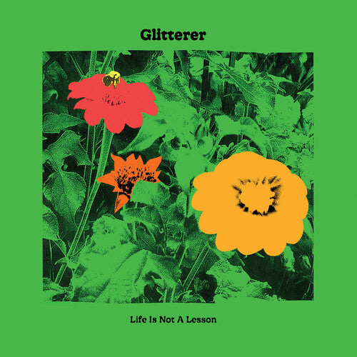 Glitterer - Life Is Not A Lesson (IEX) (Green Vinyl) (Vinyl LP) - Pale Blue Dot Records