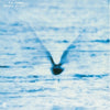 Ryo Rukui - Mellow Dream (Vinyl LP) - Pale Blue Dot Records