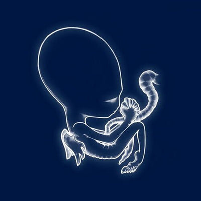 Sigur Ros - Agaetis Byrjun (Vinyl LP) - Pale Blue Dot Records
