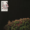 Dvr - Tape_01  Thru The City (Indie Exclusive Vinyl) - Pale Blue Dot Records