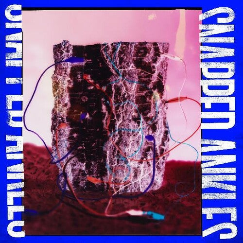 Snapped Ankles - Forest Of Your Problems (the Protester Edition) (Indie Exclusive Vinyl) - Pale Blue Dot Records