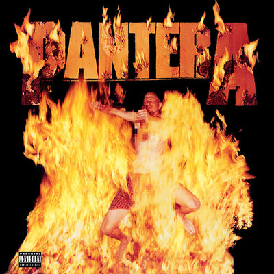 Pantera - Reinventing The Steel (Vinyl LP) - Pale Blue Dot Records