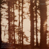Cindytalk - The Wind Is Strong (IEX) (Marbled Smoke Vinyl) (Indie Exclusive Vinyl) - Pale Blue Dot Records